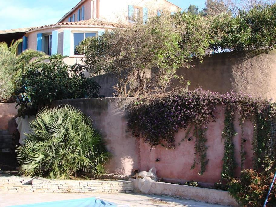 Incredible Apartment Near The Sea And Calanque La Ciotat Eksteriør bilde